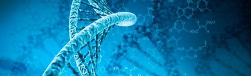 Projeto global vai mapear fatores genéticos e ambientais para a ocorrência de câncer